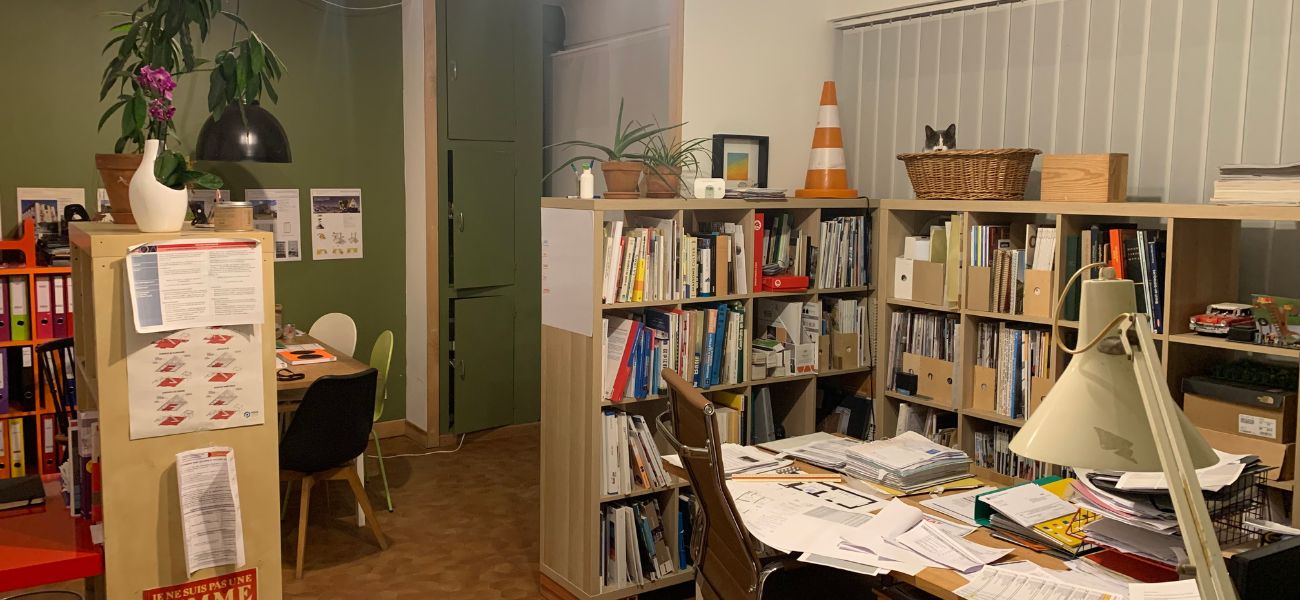 atelier Ott agence d'architecte avec le chat